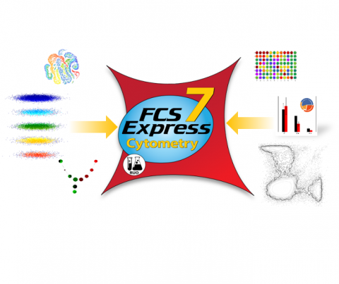 FCS Express citometria